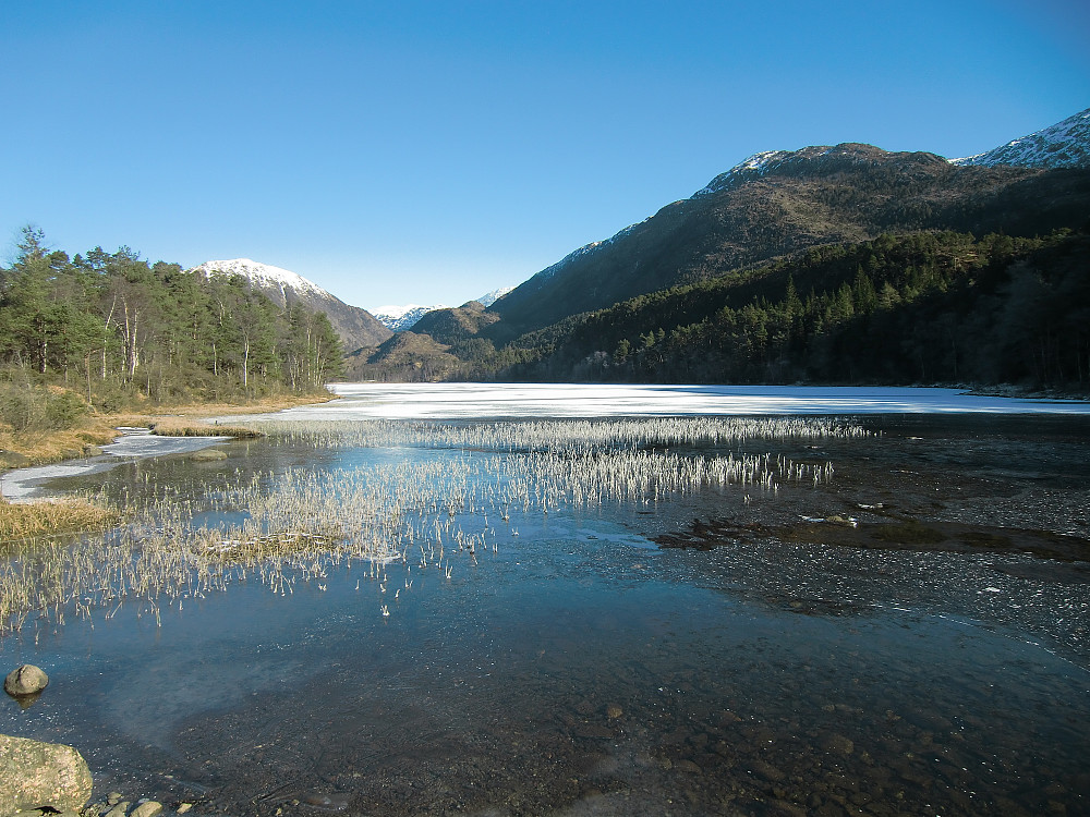 Samdalsvatnet fra skogsveien