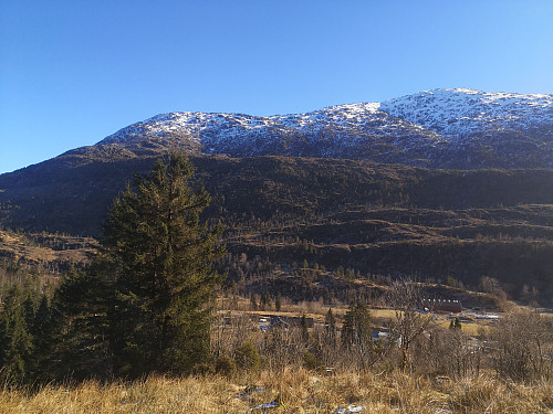 Svenningen fra Kongshaug