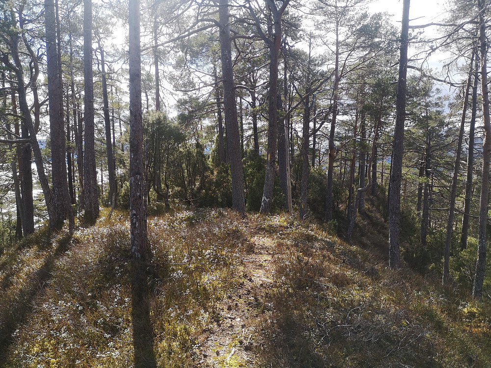 Hovden 