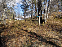 nede i Hylmedal