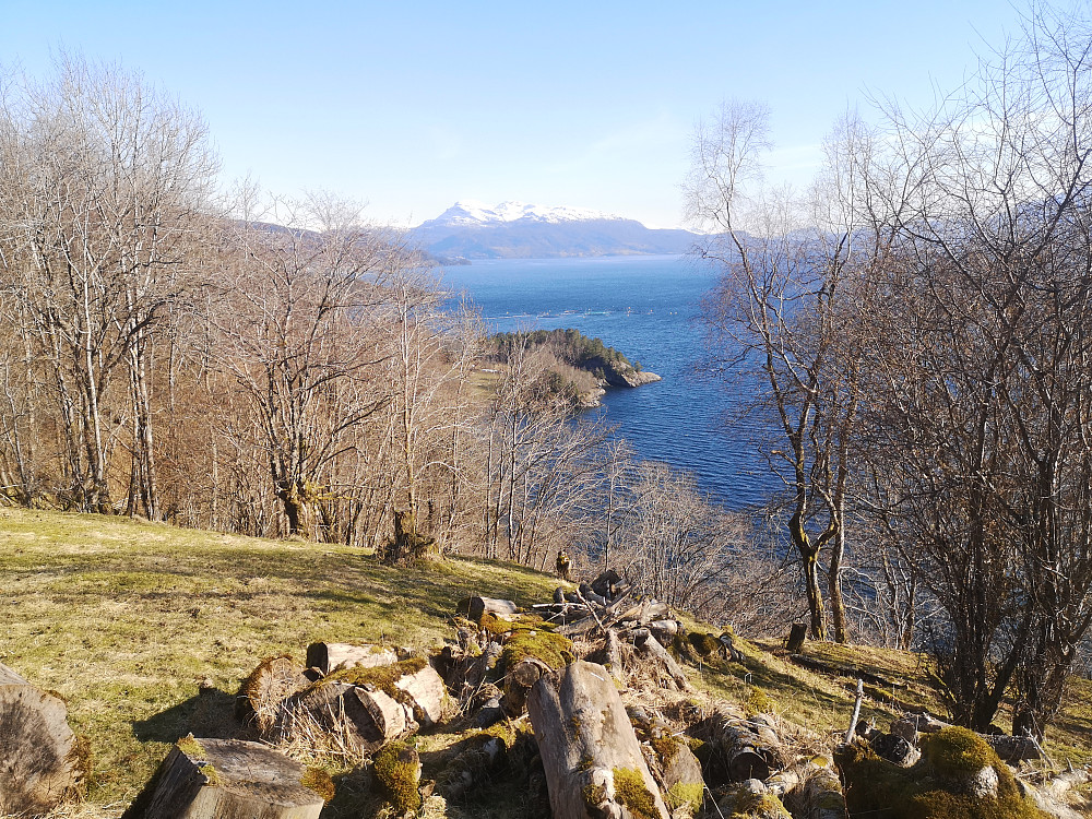 Utsikt fra tunet innover fjorden