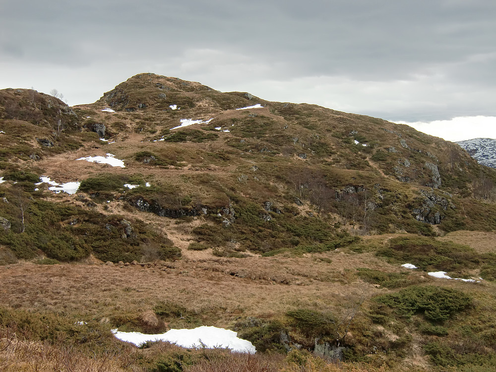 Kjeringhaugen