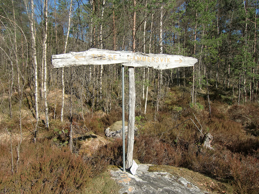 Stistart til Kvernhusfjellet begynner ved dette skiltet ved bilveien. Skilt til Kvernhusfjellet står oppreist ved foten av stokken. Jeg overså det, derfor litt startvansker.