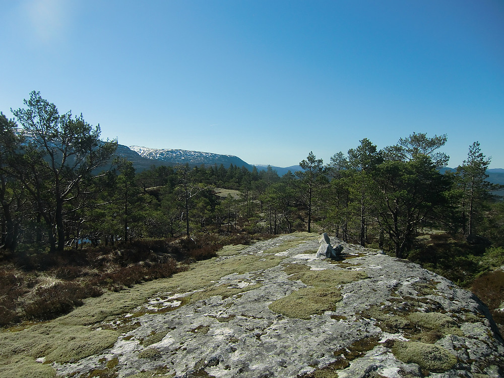 Kvernhusfjellet toppunkt 394 moh. Her sett mot syd