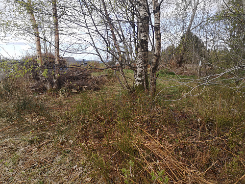 toppen på Storsåta