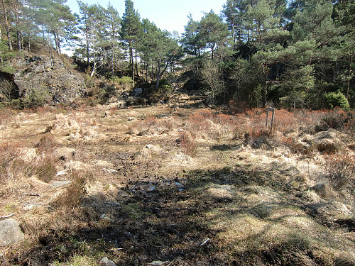 passerer Guljøyden