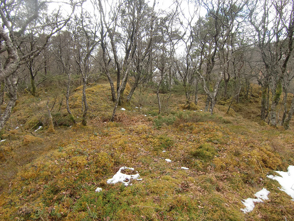Ramfjellet 428