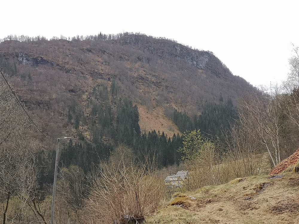 Ramfjellet sett fra bilveien. Gjennom høyre gran felt rett opp til fjell hammeren under toppen, så til venstre