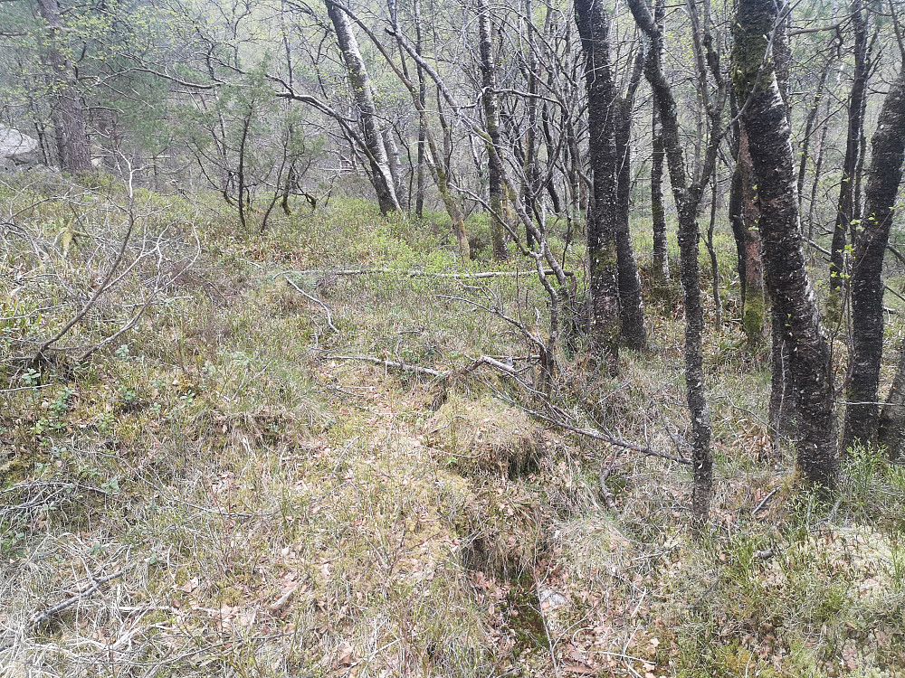 bilde sett fra nord mot flaten der det i tillegg er murt opp en smalere vei opp til platen.