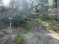 stistart