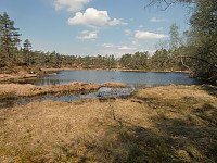 forbi Stemmetjørna