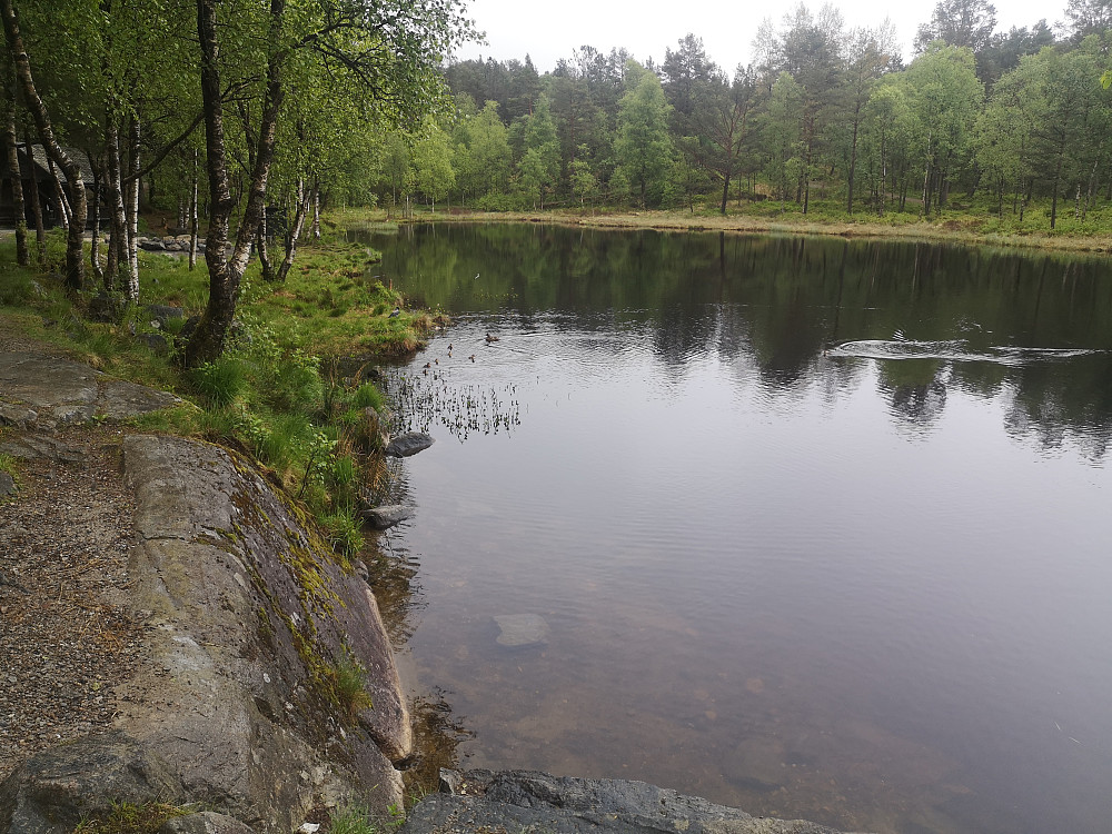 Garpetjernet også kalt Jomfrudammen i dag var andemor der med sine andunger