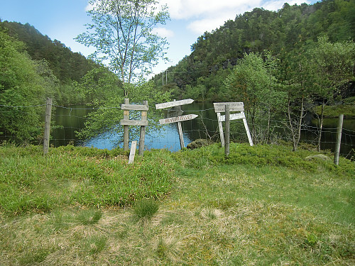 oppe ved Vetlavatnet