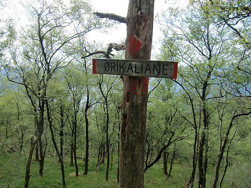 oppover Ørikaliane