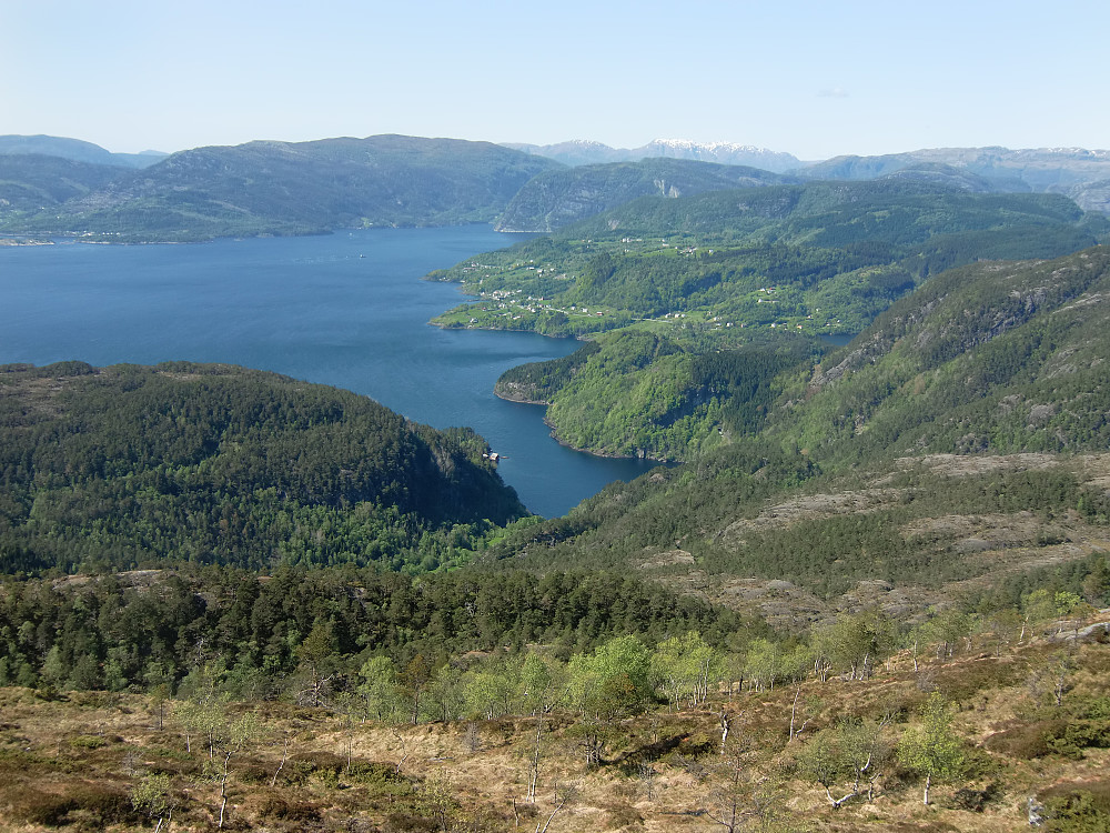 utsikt fra Aksla mot Baldersheim og Sævareidfjorden