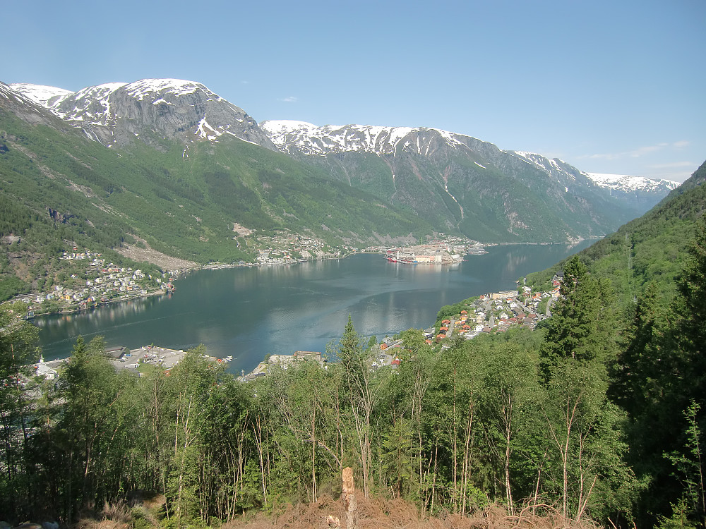 utsikten