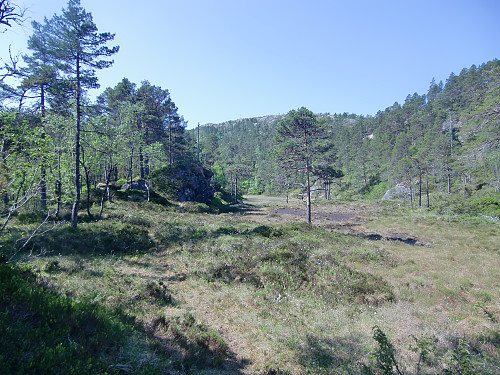 ved Stemmetjørna