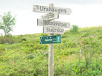 mange tur alternativer 