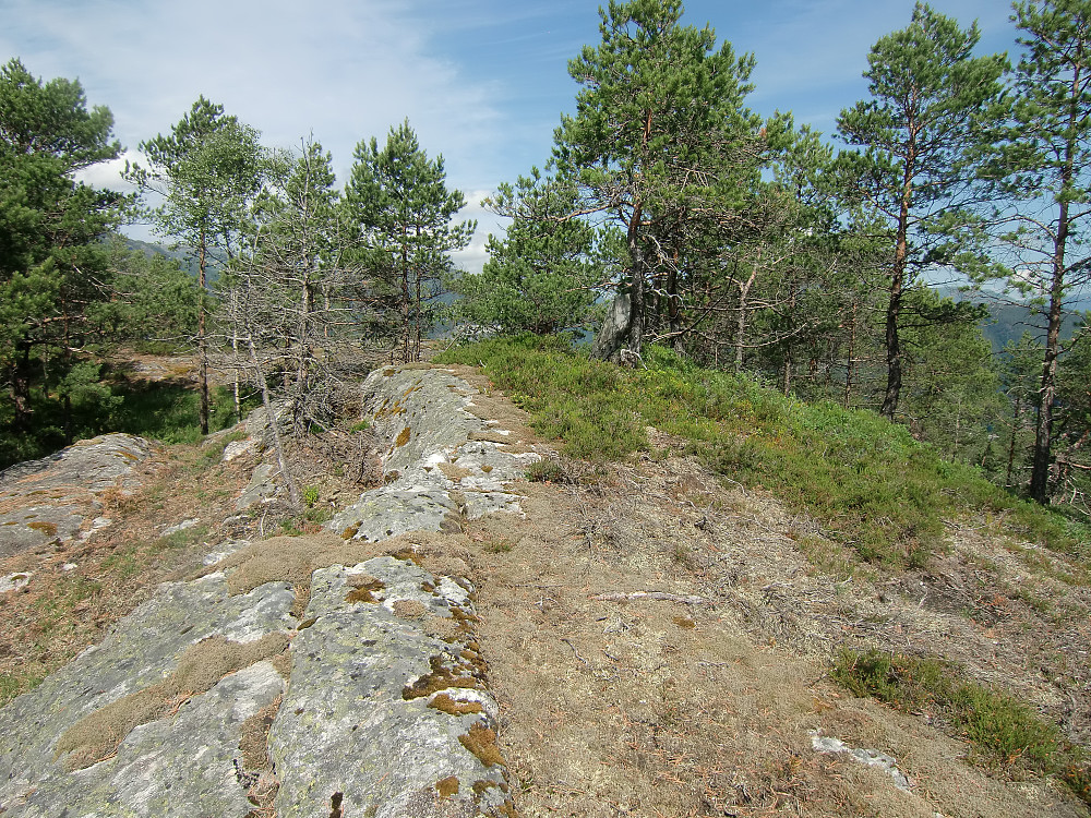 Storgjelsknausen sett mot nord