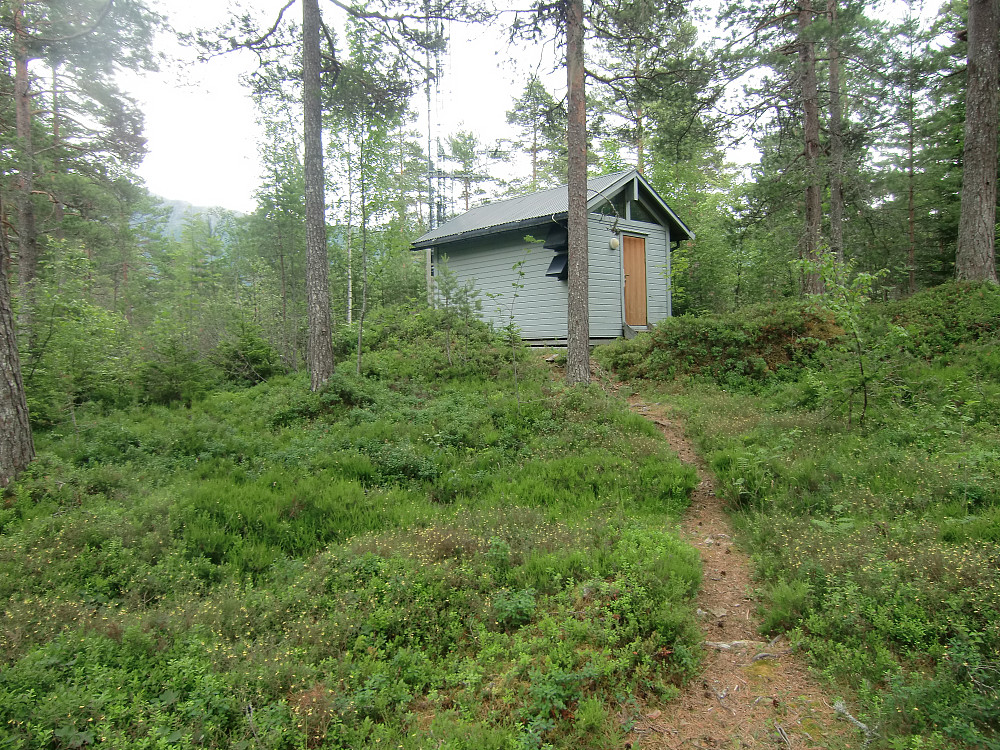 Åsen 271