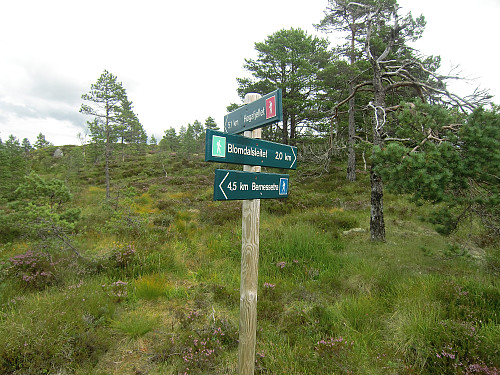 fulgte sti til Bernessetra