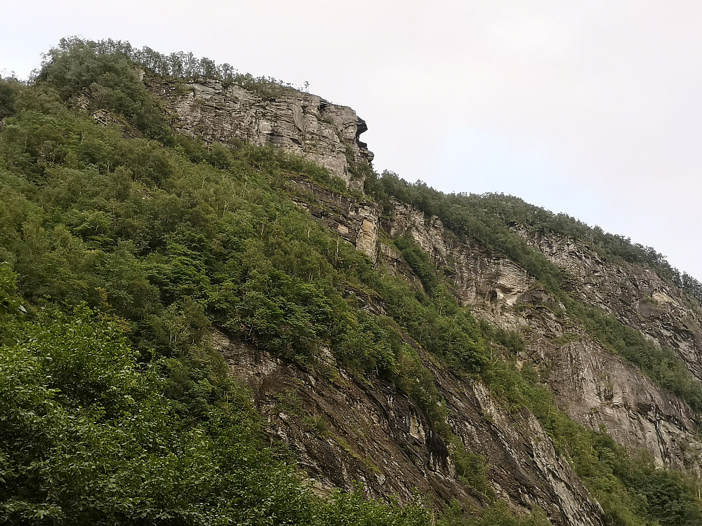 Fra Dyrakriken har vi fjellformasjonen Gåsaflukta 300 m. nesten rett opp.