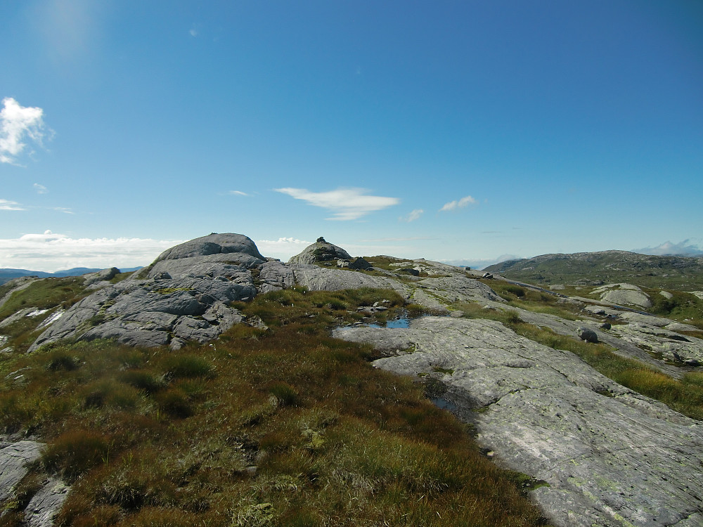 Bjørnshiklanten 