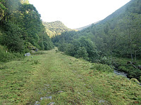 Markusdalen