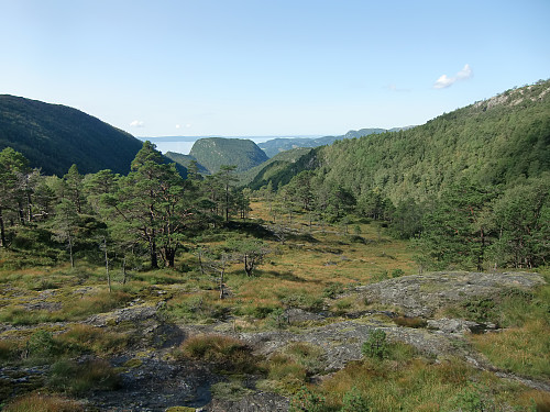 ved skoggrensen sett nedover Markusdalen. Fjellet Steinen midt i bildet. 