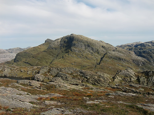 Iendefjell 1260 fra Byrkjeflellet