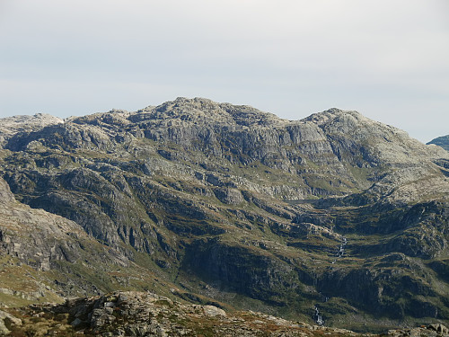 Fuglafjellet 1334 fra Byrkjefjellet