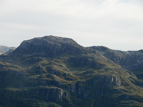 Fotasperrnuten 1194 fra Byrkjefjellet