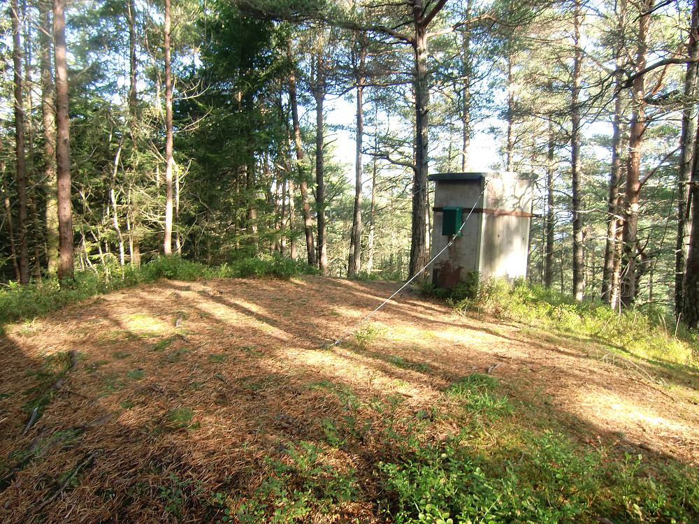 Bogsnesåsen 