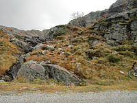 Stistart