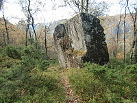 stor stein