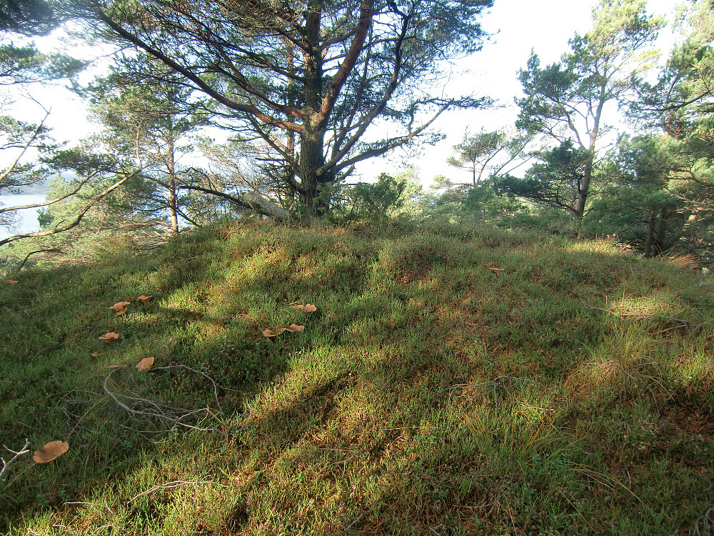 Sætrafjellet 187,2 