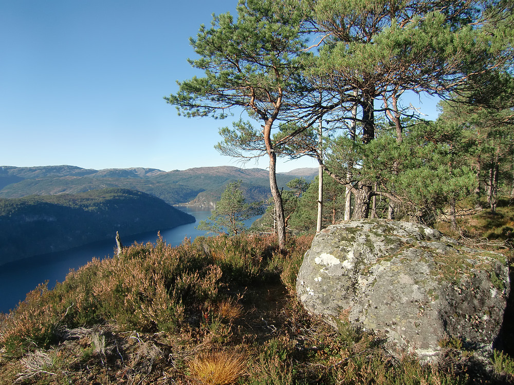 Sverrestuven 259