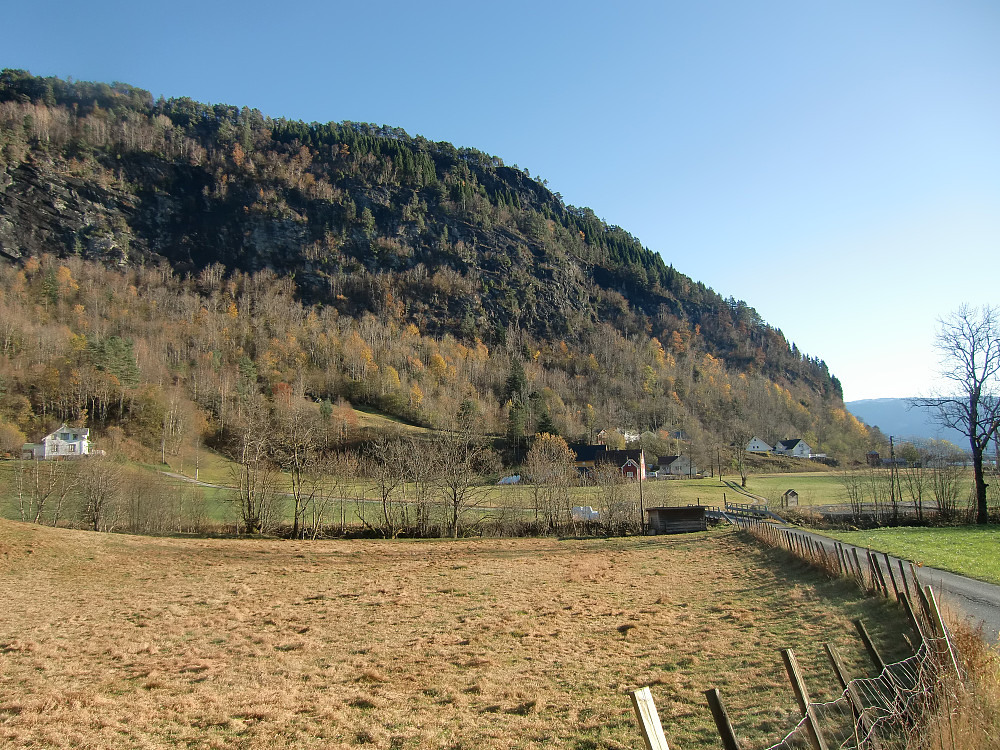 Nedenfor Håbrekke med Fløyen bak. 