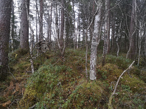 litt ubestemmelig turmål