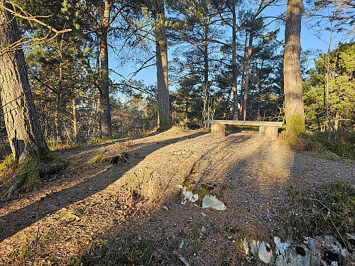 Grønhaugen