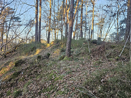 Ospåsen