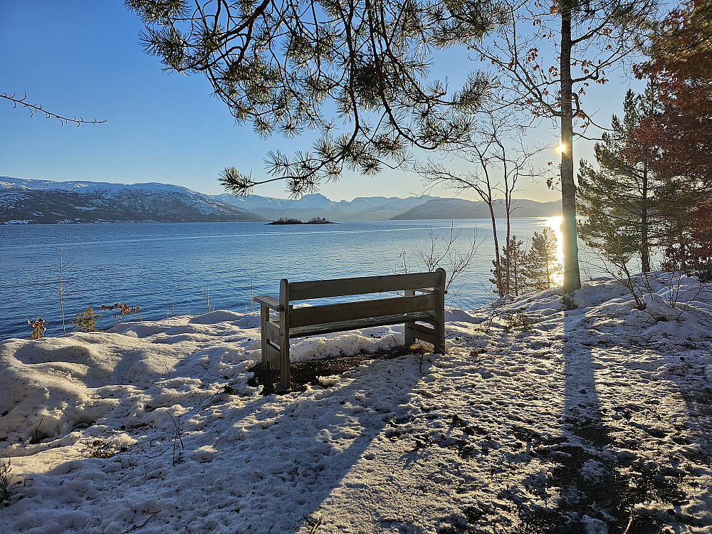 Tangaråsneset