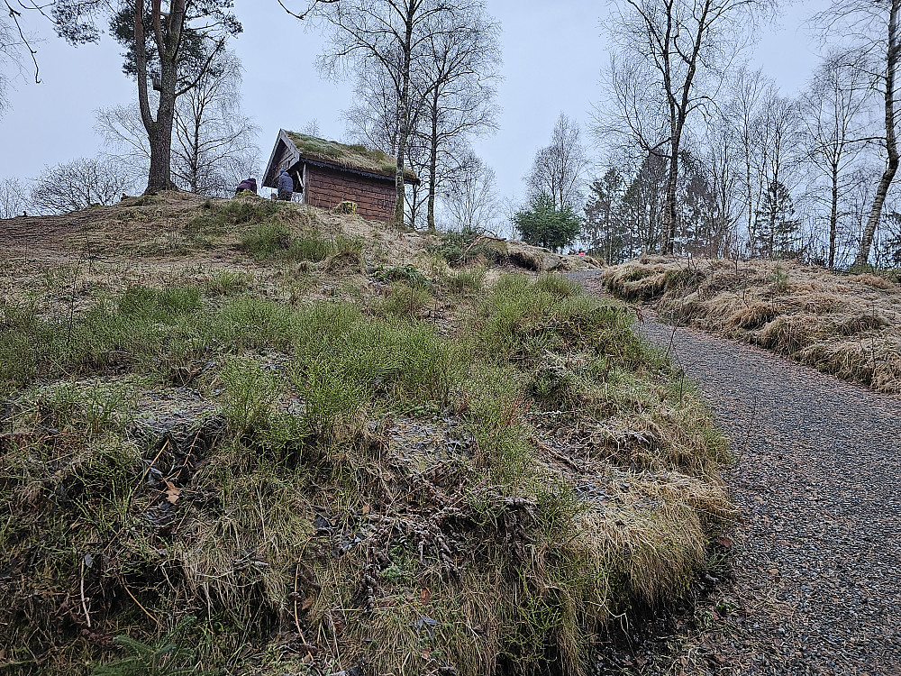 Birken 65 ved Elvenes