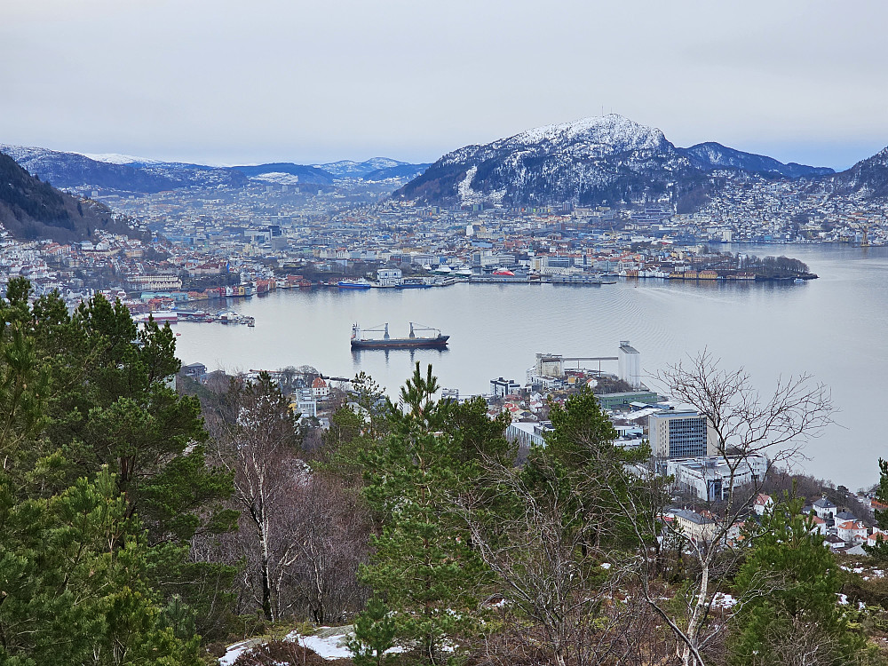 Bergen fra Ørneberget