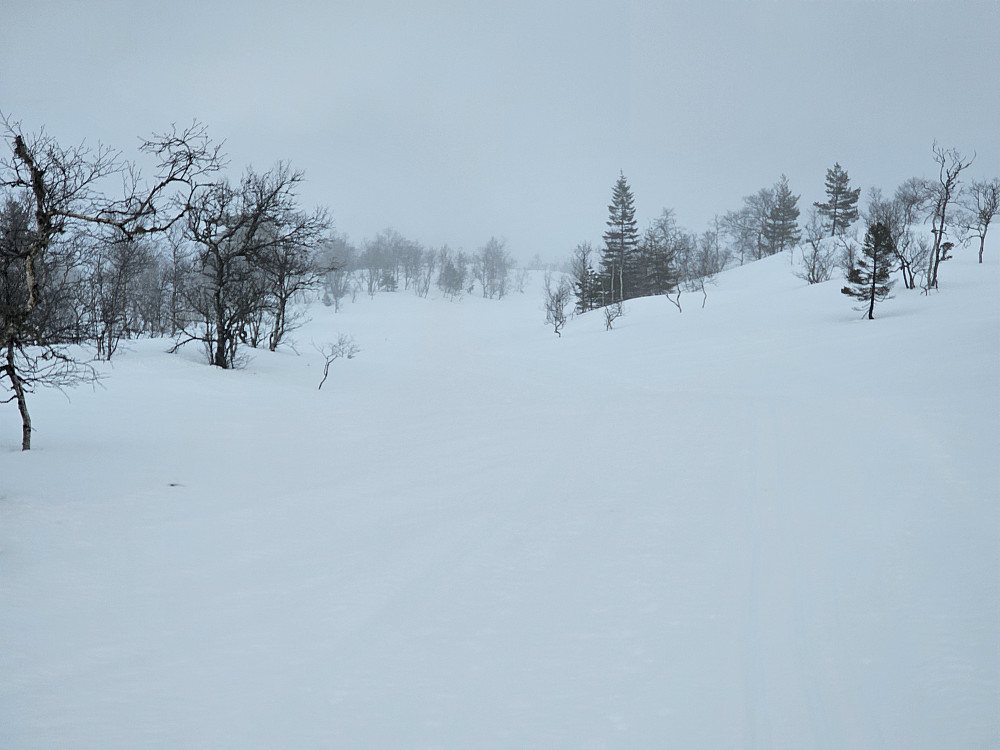 passert Holsete og på vei mot Kvamskogen. Snudde fremme i tåken da jeg slet med å se om terrenget gikk oppover eller nedover