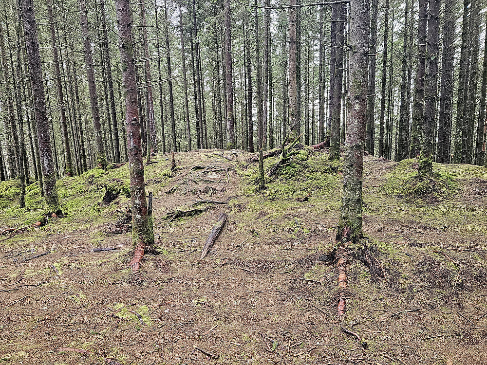 toppen på Storåsen