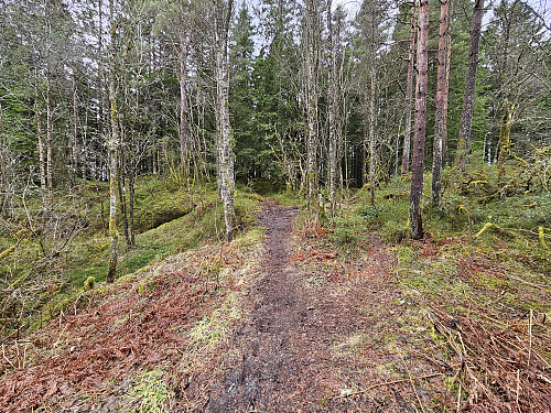 opp fra nord