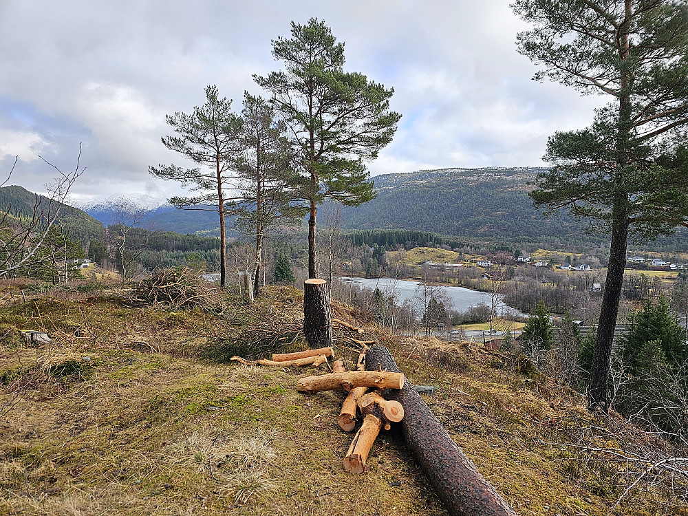 utsikt mot øst fra Eidahaugen