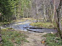 elven mellom Langevatnet og Munkebotsvatn