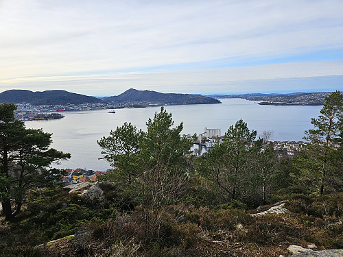 utsikt utover Byfjorden fra Håmanen